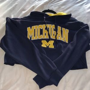 Cropped umichigan hoodie